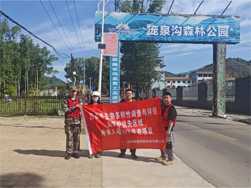 职业的我们